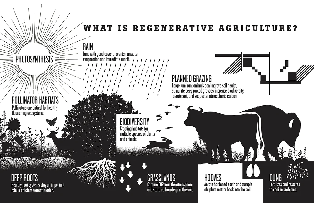 Regenerative Farming goals